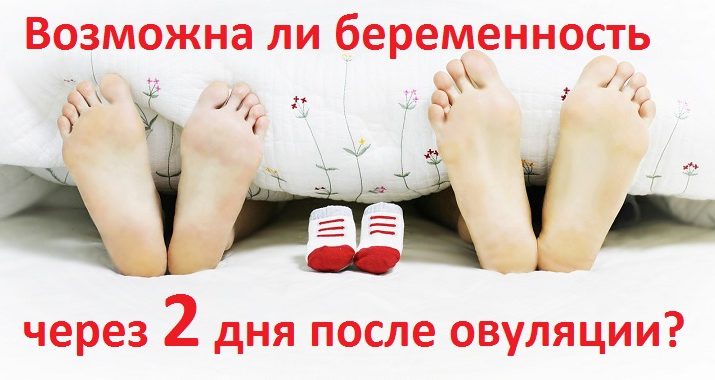 Шансы забеременеть через 2 дня после овуляции