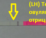 (LH) Test Strip тесты фото (LH) Test Strip тест фото