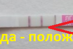 Момент Чуда Фактор-Мед ИХА-ЛГ-ФАКТОР тест-полоски Момент Чуда Фактор-Мед ИХА-ЛГ-ФАКТОР тест-полоски